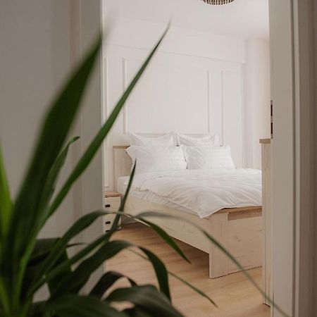 Modern Apartment In ティミショアラ エクステリア 写真