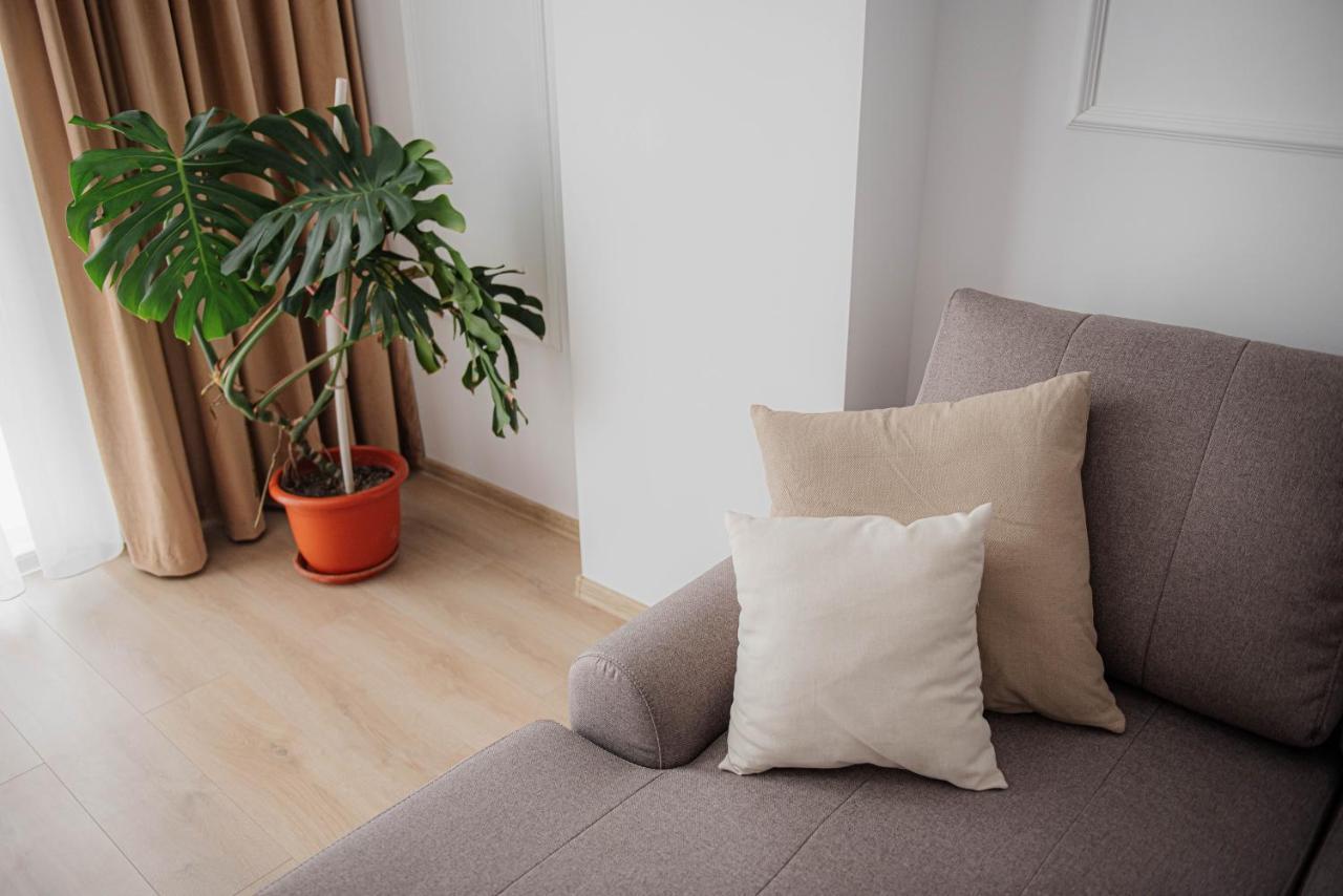 Modern Apartment In ティミショアラ エクステリア 写真