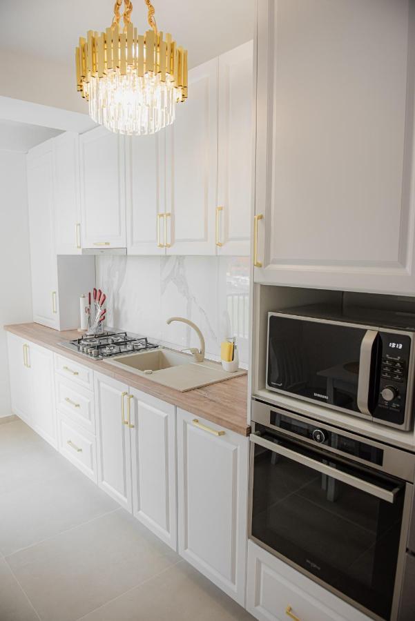Modern Apartment In ティミショアラ エクステリア 写真