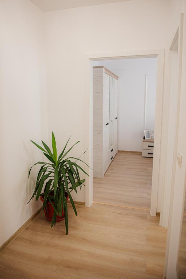 Modern Apartment In ティミショアラ エクステリア 写真