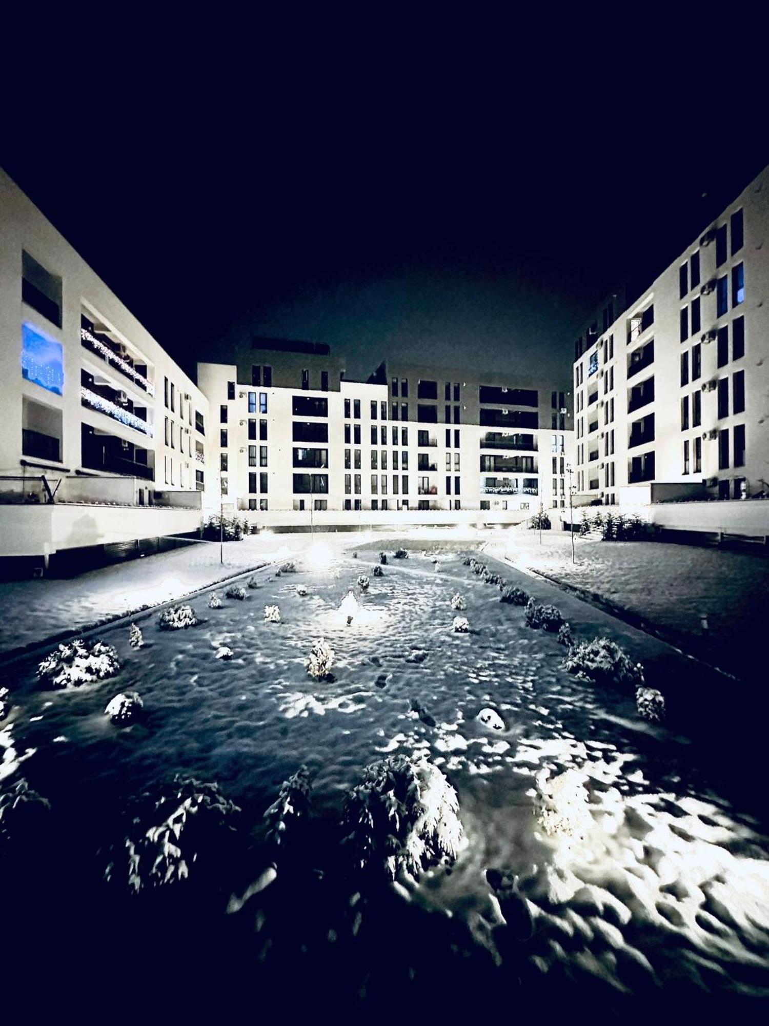 Modern Apartment In ティミショアラ エクステリア 写真